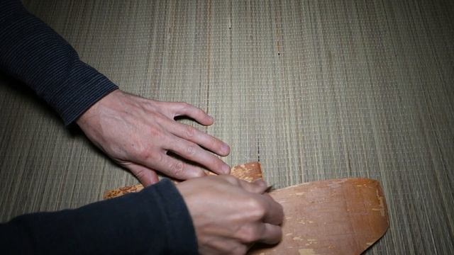 Слой луба на бересте, что можно сделать смотреть онлайн