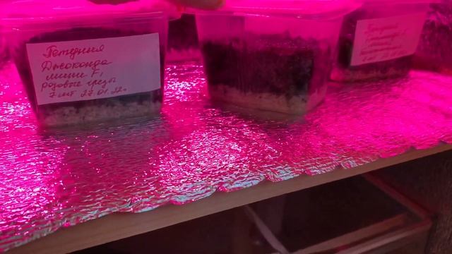 Строительные Чудесники