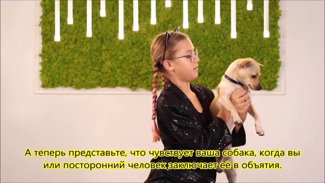 Почему собаки не любят, когда их обнимают, и как понять недовольство вашего питомца смотреть онлайн