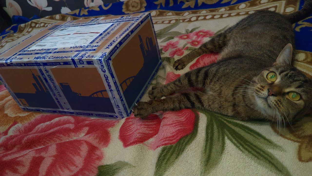 ❤️РАСПАКОВКА ПОСЫЛКИ ОТ DeDychka Marat❤️ смотреть онлайн