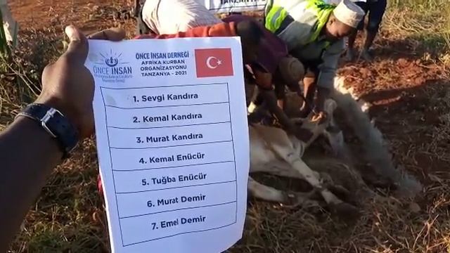 Afrika Şükür Kurbanı смотреть онлайн