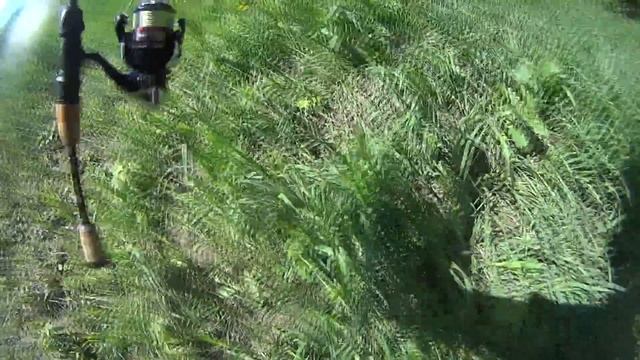 Ловля голавля на малой реке весной смотреть онлайн