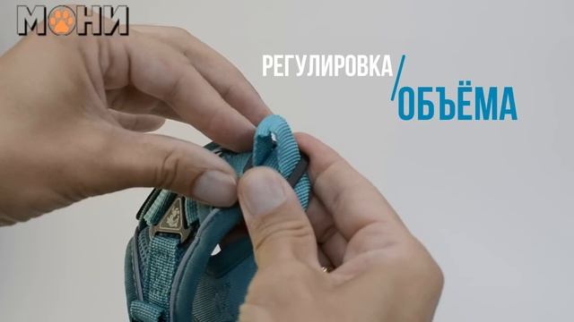 Здоровье и красота в период роста детей