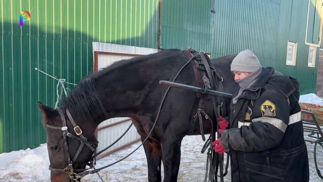 Время зимних забегов смотреть онлайн