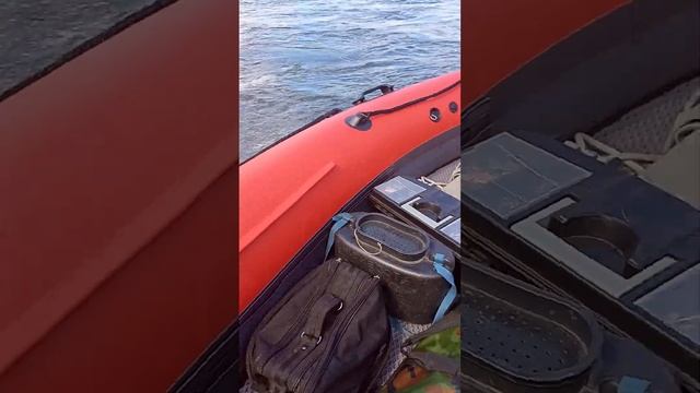 шермакс 9.9 лодка риф скат 370! смотреть онлайн