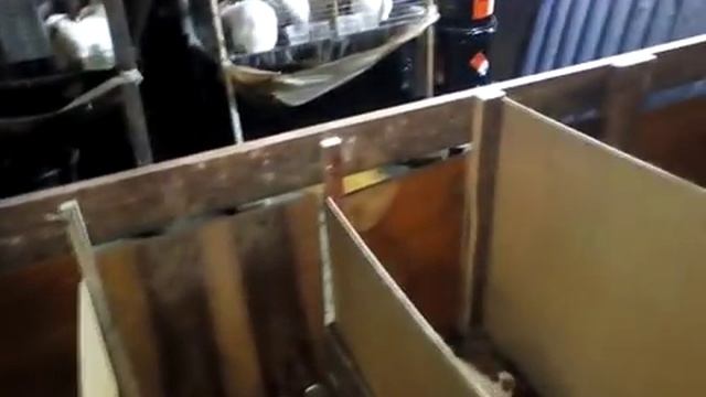 убираем лишних крольчат из окрола смотреть онлайн