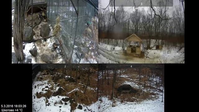 Архив веб-камер в Парке Амура и Тимура за 05.03.2016