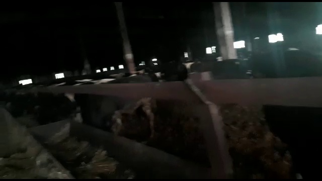 Оптовая продажа нетелей смотреть онлайн