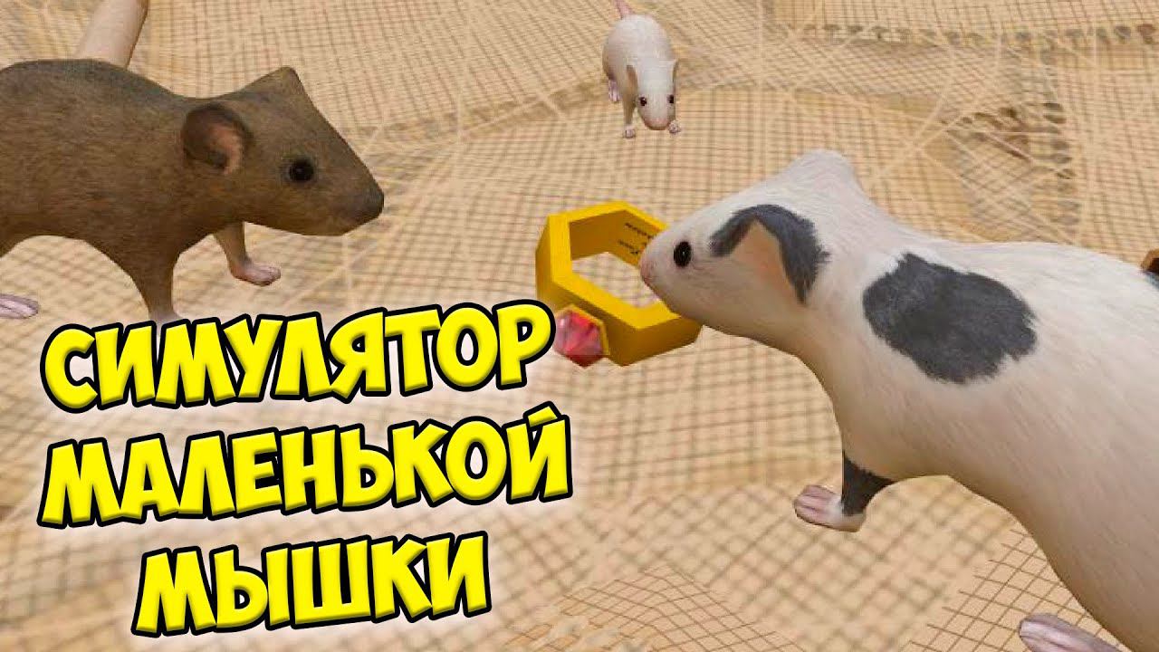 СИМУЛЯТОР МЫШИМышонок против кота Ухаживаю за питомцем смотреть онлайн