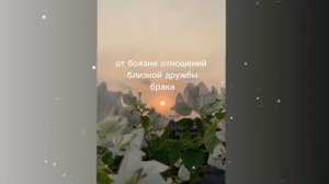 от боязни отношений/дружбы/брака/саблиминал