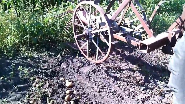 #Картошка#Дача Как быстро копать картошку трактором Т-25 Своими руками. смотреть онлайн