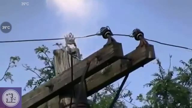 Где голубь !? Фантастическое исчезновение голубя . смотреть онлайн