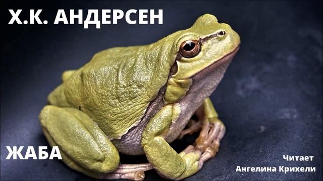 Сказка-притча. Классика НЕ для детей. Жаба. Андерсен смотреть онлайн