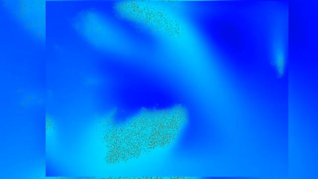 СИНИЕ СИЯНИЕ смотреть онлайн