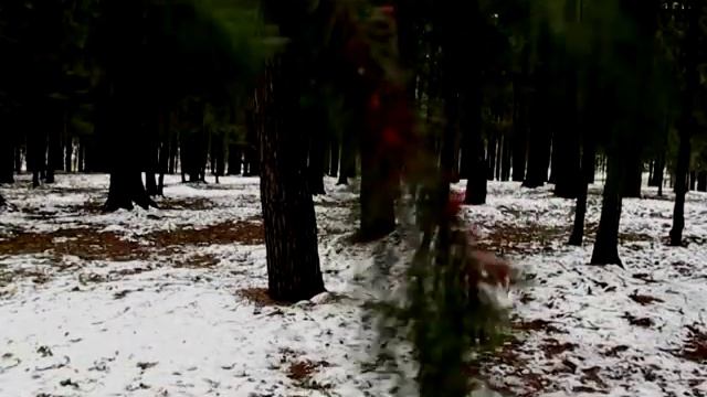 Dymna Lotva - Маленькой Елочке Холодно Зимой смотреть онлайн