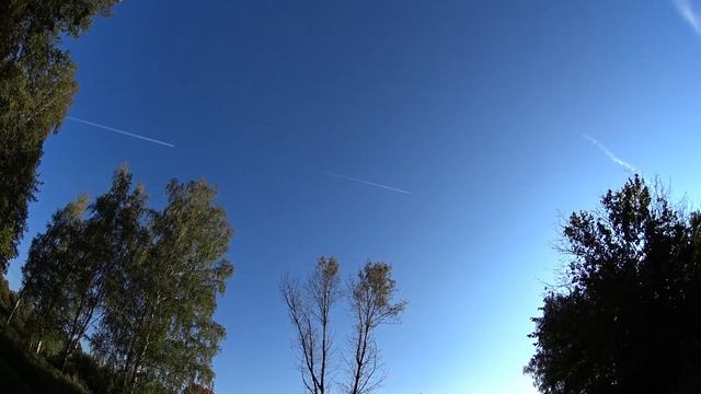 Осенний лес - 13.09.2015 смотреть онлайн