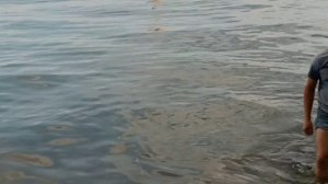 Отдых на водохранилище в посёлке  Рефтинский.Отдохнули на природе хорошо!