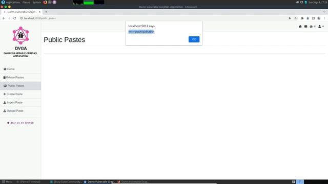Damn Vulnerable Graphql Application - Injection Attacks смотреть онлайн