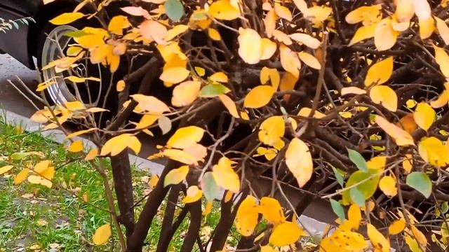 САМЫЕ КРАСИВЫЕ ПЕЙЗАЖИ.