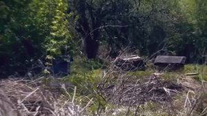 Песня про деревню 2022 ✮ Слеза скатилась - Александр Закшевский.