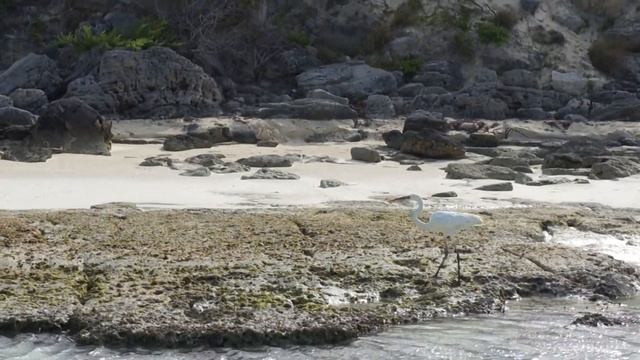Кайо Гильермо, Куба / Cayo Guilermo - Cuba (12) смотреть онлайн