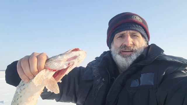 На Амур-батюшке! смотреть онлайн