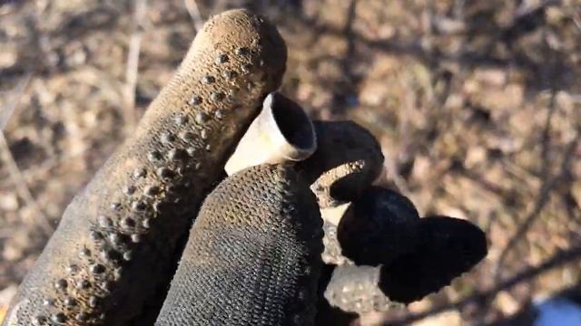 Лесные Копатели "ЗОВУТ-КОПАТЬ, ИДЕМ-КОПАТЬ" смотреть онлайн