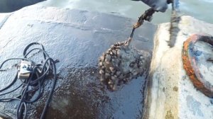 ПОДНЯЛ СО ДНА САМУЮ МЕРЗКУЮ НАХОДКУ - магнитная рыбалка у КРЕМЛЯ