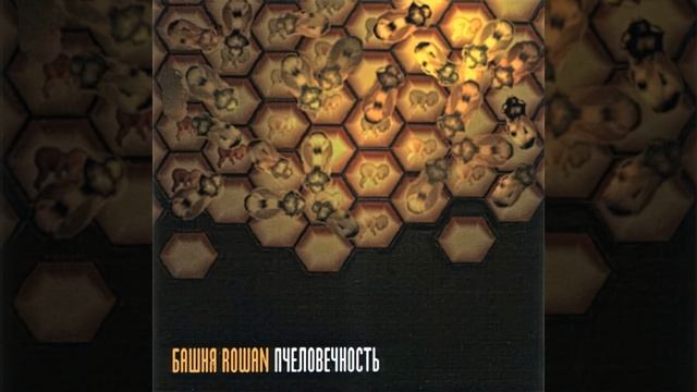 Гейдельбориус