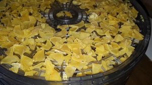 Сушим картошку для похода