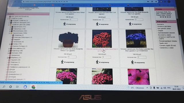 Заказала петунии в интернет-магазине "Белла" Ссылка под видео смотреть онлайн