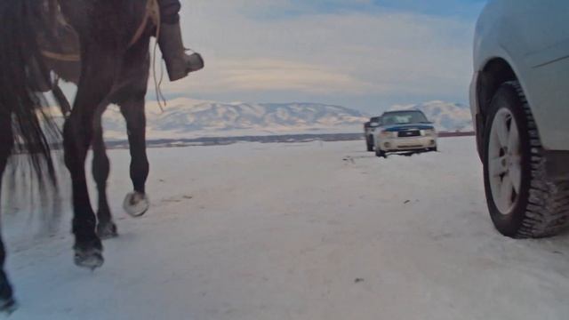 Наездники лошадей в горах Алтая