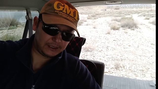 Honda Еlement тест драйв через 16 лет