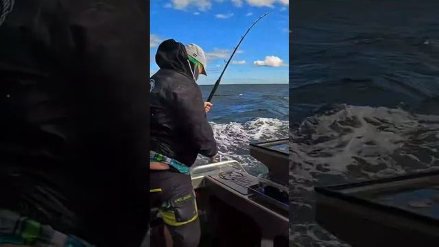 Best Alarm clock!! wake up happy every time! #fishing #funny #tuna смотреть онлайн