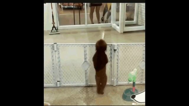 FJ.Lansan = " Locked. (encerrado)" = HD смотреть онлайн