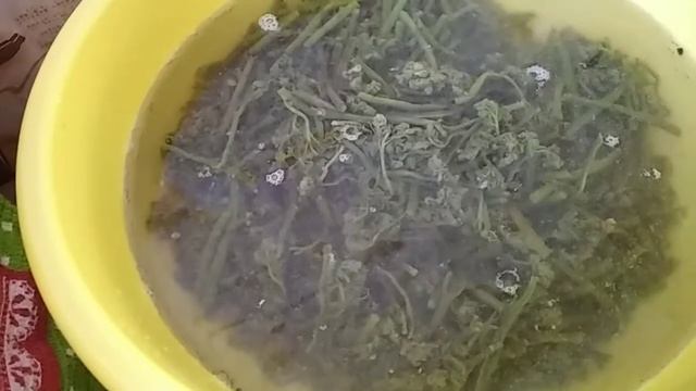 Очень вкусный Папоротник с мясом смотреть онлайн