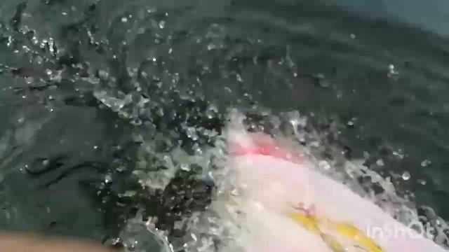 Как я стираю белье на даче! смотреть онлайн