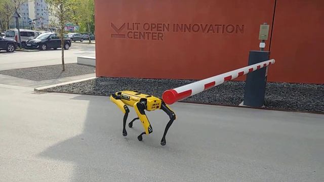 к нам сегодня приходил мелкий жёлтый крокодил ? смотреть онлайн