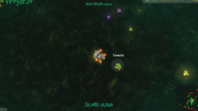 Frogar.io - Sure, you can eat my flies... NOT! смотреть онлайн