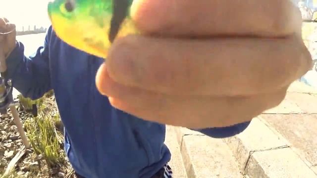 Первый видео обзор спиннинга Shimano Technium DF CX 300MH & Катушка Shimano Nexave 4000FC