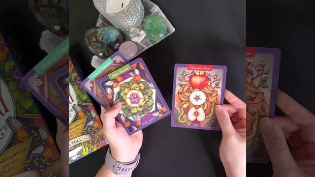 New Deck Review: The Illustrated Herbiary Oracle Set смотреть онлайн