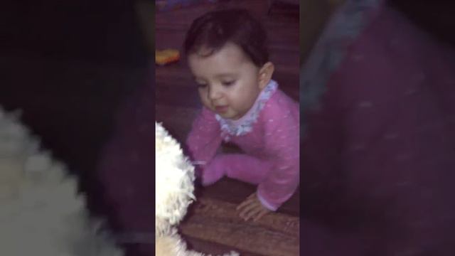 Ленивый малыш ползает. Смотреть всем 🤪🤪 смотреть онлайн