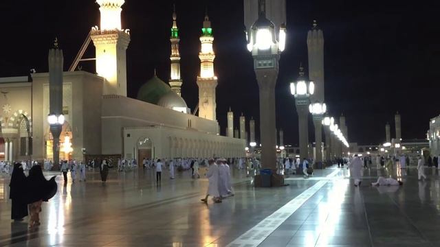 According To Islam And Science, How Is A Cat Reared In A Home || Ghar Mein Billi Palna Kesa Hai