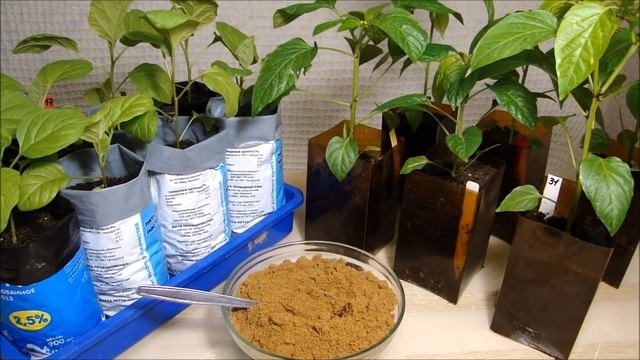 РЫБНАЯ МУКА СУПЕР УДОБРЕНИЕ ДЛЯ ТОМАТОВ! ПОВЫШАЕТ ПЛОДОНОШЕНИЕ!