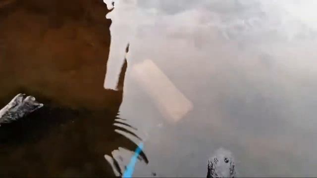 Кошелёк с ДЕНЬГАМИ на Поисковый Магнит смотреть онлайн