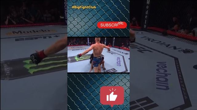 UFC 290 Лучшие моменты для тех кто еще не смотрел!