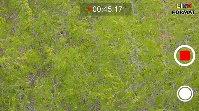 Как и где правильно хранить важные файлы? смотреть онлайн