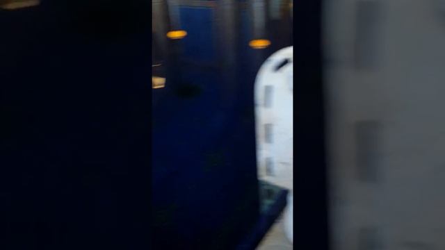 Hearst Castle Roman Pool смотреть онлайн