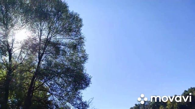 Наконец то отдых//Красивый лес и река//НАТАЛИЯ БОС смотреть онлайн