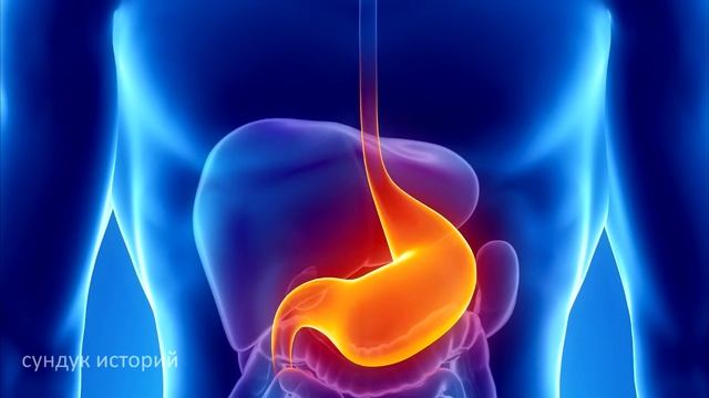 интересные факты о людях и не только... смотреть онлайн